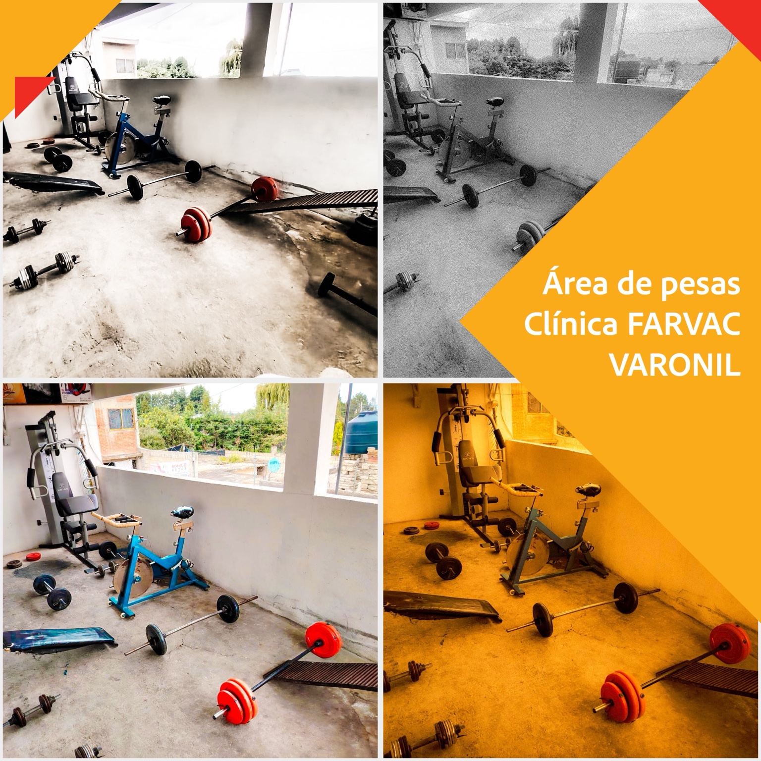 Área de pesas varonil